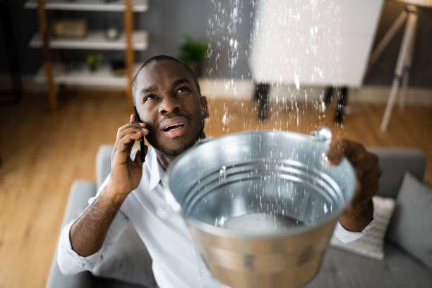 Best Water damage contractors near me  in Ivanhoe, TX