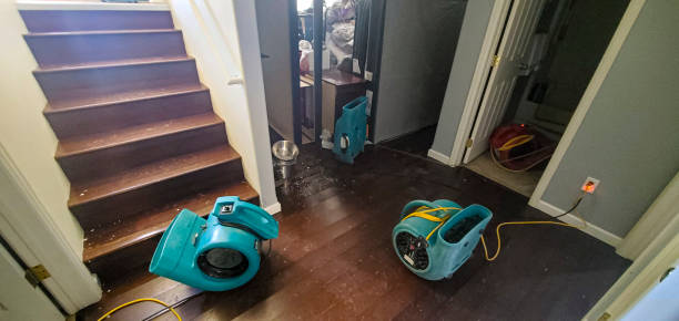 Best Flooded house restoration  in Ivanhoe, TX