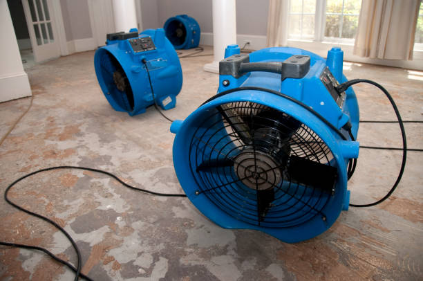 Best Water damage restoration company  in Ivanhoe, TX